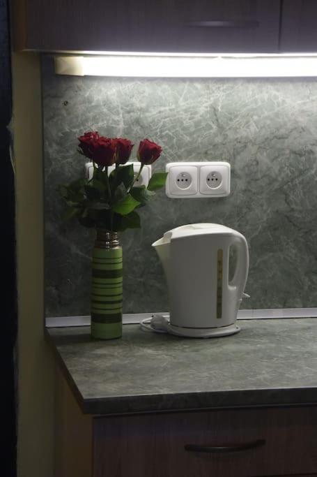 Cosy Warm Apartment In The Heart Of Prague. Luaran gambar